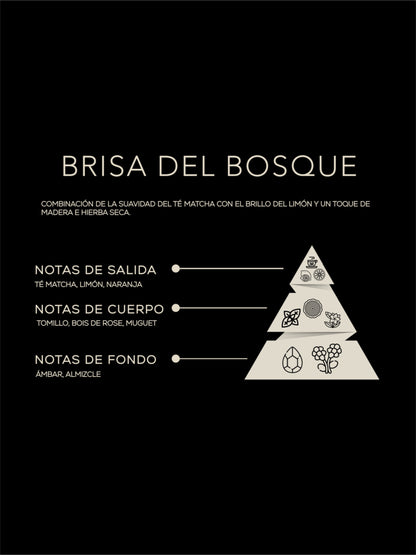 ESENCIA BRISA DEL BOSQUE