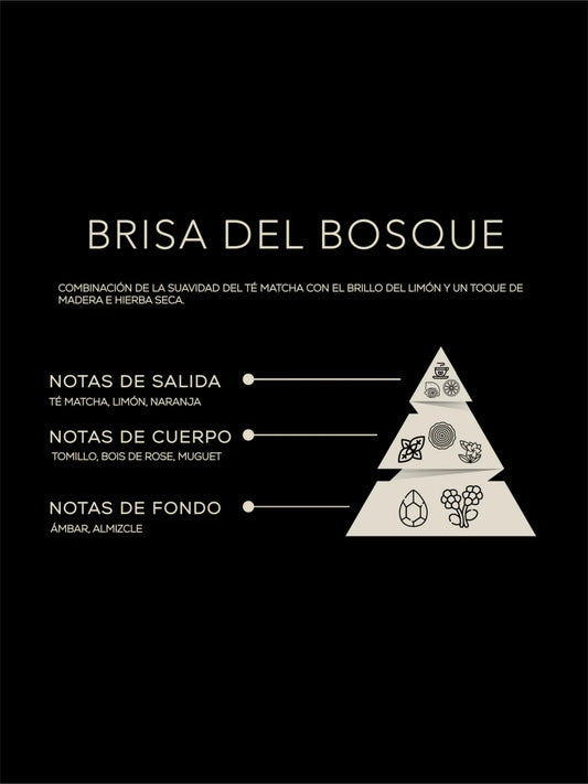 DIFUSOR DE VARITAS BRISA DEL BOSQUE